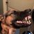 Scott Gosky's profile image
