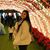 Glowee Leau-Lemapu's profile image