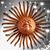 Laura Coletto's profile image