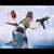 Rich Robinson's profile image