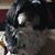 Vicki Townsend Rickett's profile image