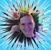 Meredith Outlaw's profile image