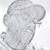 Bob Reed's profile image