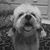 Cindi Billmaier's profile image