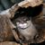 Kimberly Yount's profile image