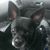Billy Allen's profile image