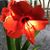 Louise Heagerty Elliott's profile image