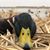 Jason Fowler's profile image