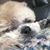 Dawn Aberle's profile image