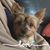 Terri Houghton Gollnick's profile image