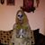 Angel Olea's profile image