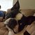 Chelle Scott's profile image