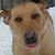 Betsy Conkling Canada's profile image