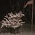 Ellen Christianson's profile image