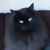 Laura S. Ward's profile image