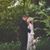 Liz Brehany-Harris's profile image