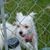 Kristy Dianne Caywood's profile image