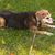 Marilyn Nolte's profile image