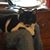 Amber Marzolf's profile image