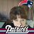 Monique Langis's profile image
