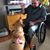 Michael Chase Cirillo's profile image