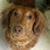 Wilda Arney Broeker's profile image
