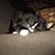Laurie Kanner's profile image