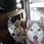 Mary Boger's profile image