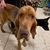 Deb Thomas-Blake's profile image