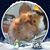 Lori Stephens's profile image