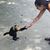 Chrissy Banach's profile image