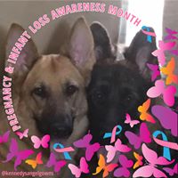 Janice K Bieker's profile image