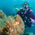 Ann Prettyman's profile image
