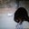 Hiroko Pampalaylay's profile image