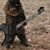 Sean Hardesty's profile image