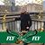 Joann Wilkinson McKenna's profile image