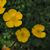 Sharon Rothbaum Zimmers's profile image
