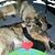 Shawna N Riley Weaver's profile image