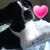 Abby McGinnis's profile image