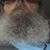 Dale Lomax's profile image