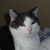 Colleen Anderson's profile image
