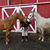 Elizabeth Boland's profile image