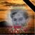 Cathy Grant Simmons's profile image