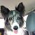 Rosanna Buehl's profile image