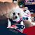 Sheryl Kennedy's profile image