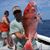 Nathan Allred's profile image