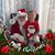 Kristan Abare Wilcox's profile image