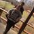 Austin N Lexi Gregory's profile image