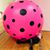 Kamilla Prado Bridges's profile image