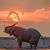 Amber Dawn Hanawalt's profile image